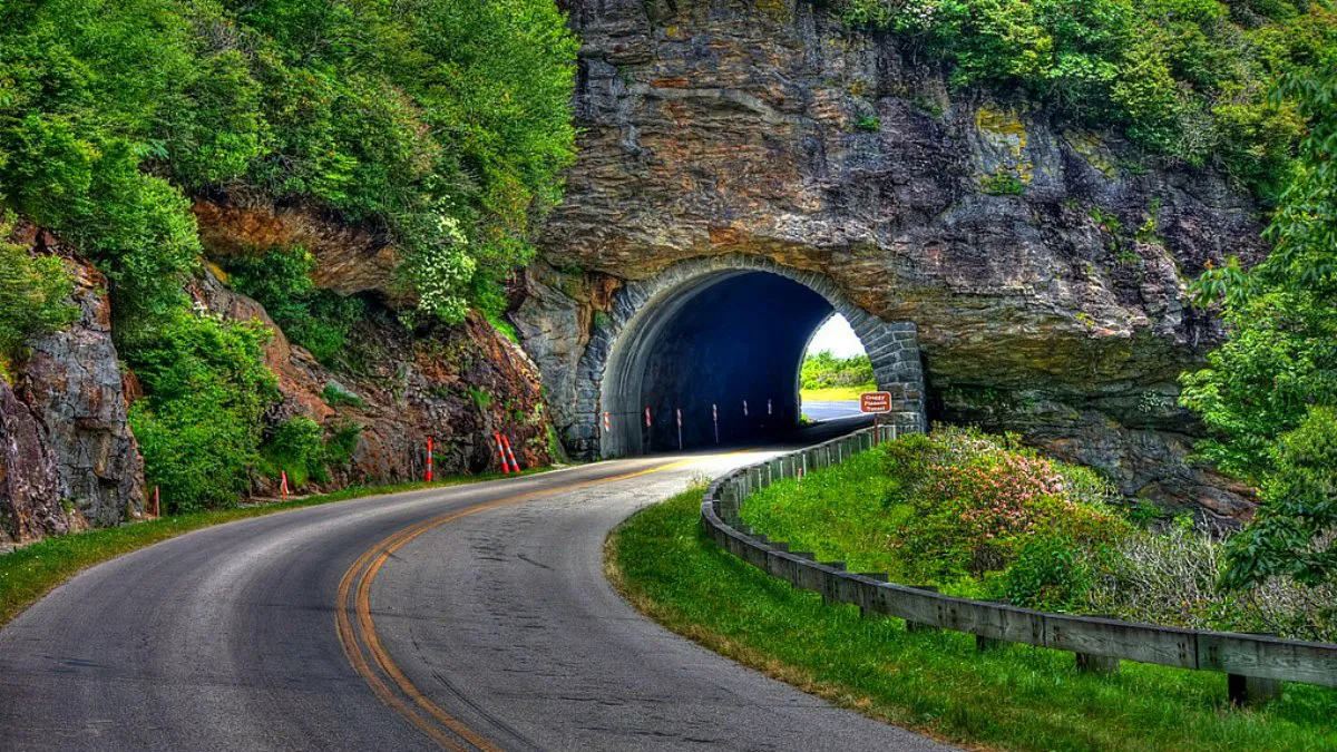 Great Drives: Tennessee’s Tail of the Dragon